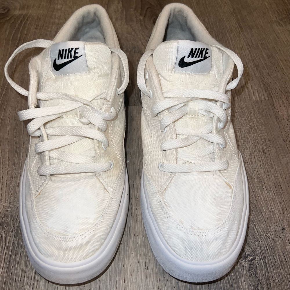 Nike SB Charge Skateboarding Shoes